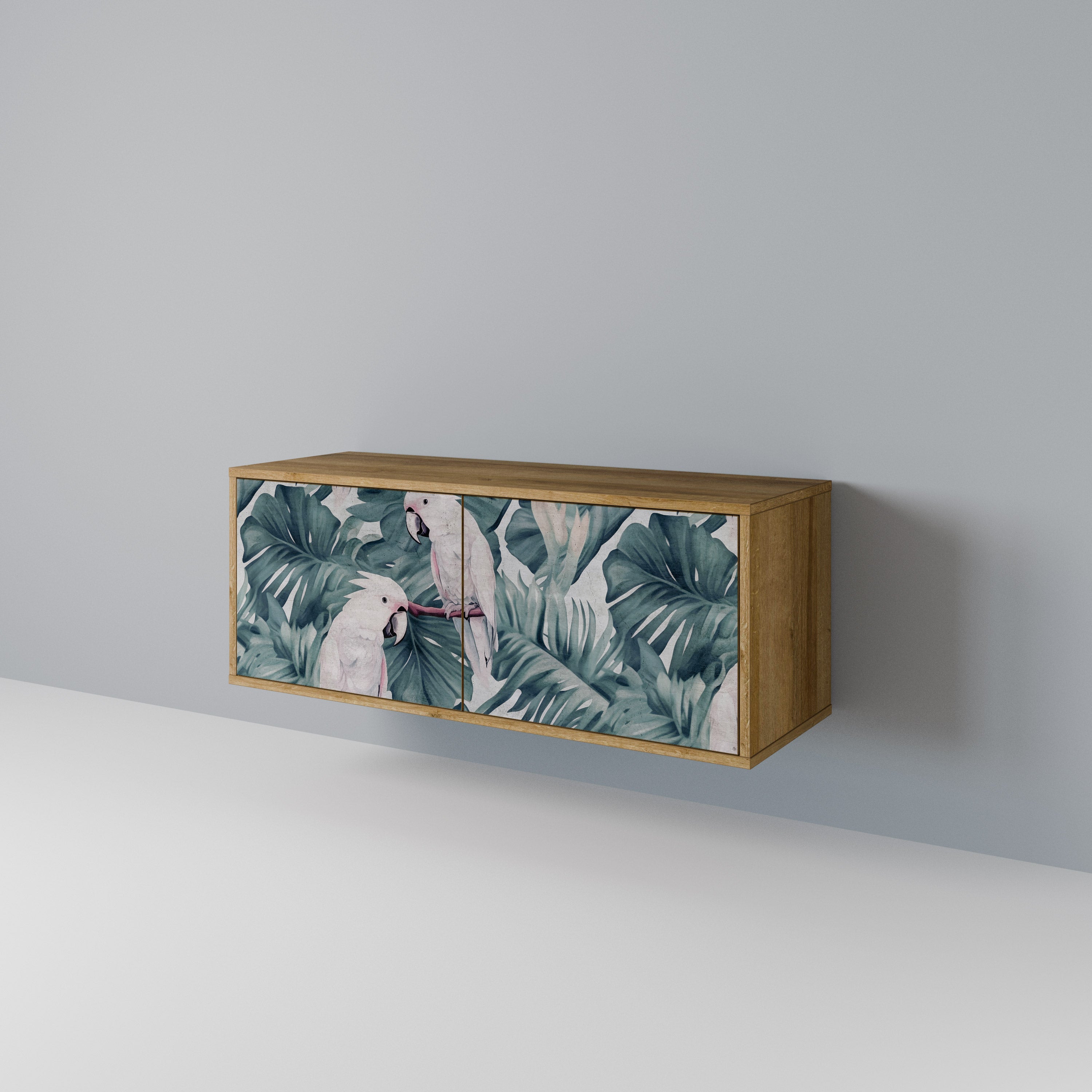 POPINJAY LOOK Kompaktes 2-türiges TV-Lowboard