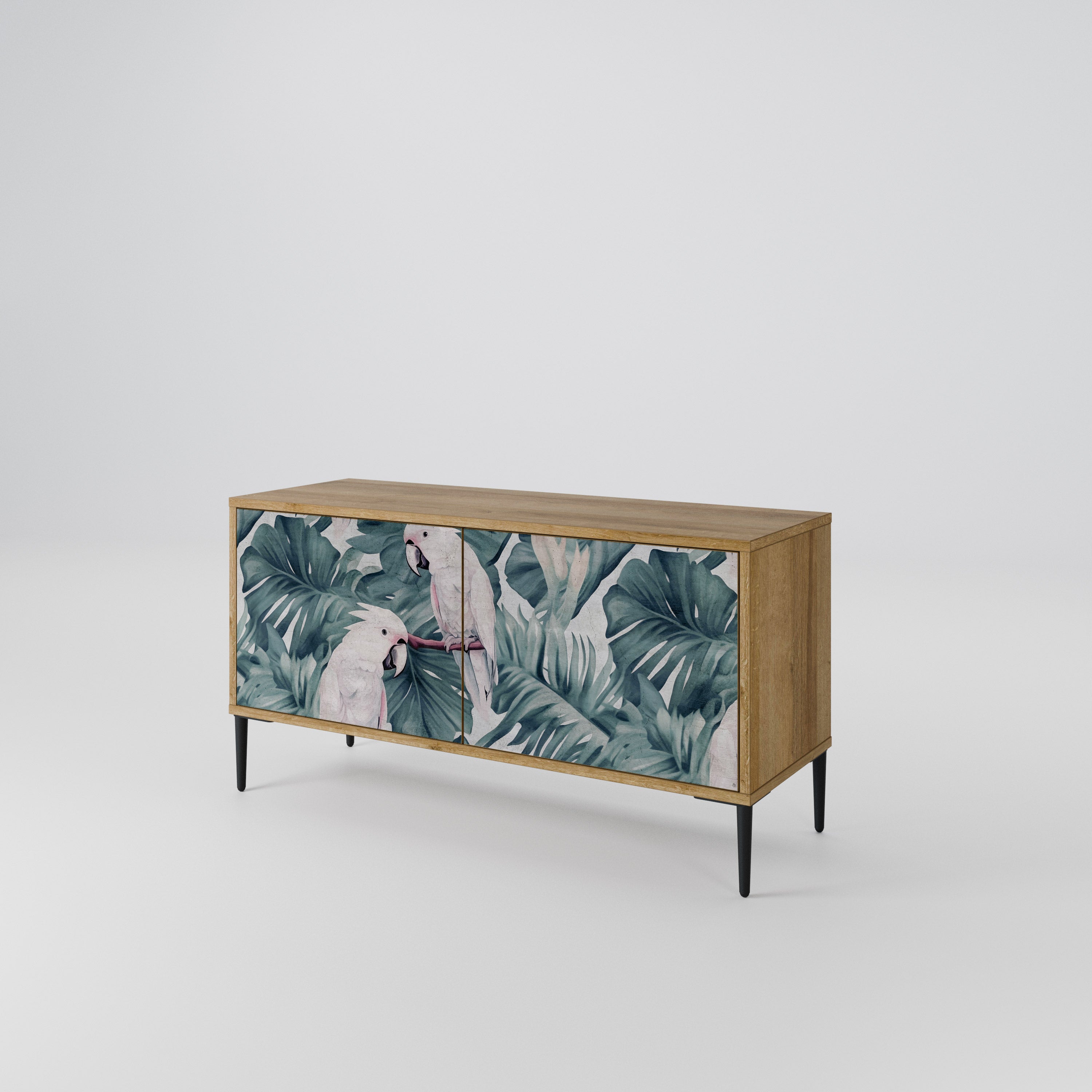 POPINJAY LOOK Kompaktes 2-türiges TV-Lowboard