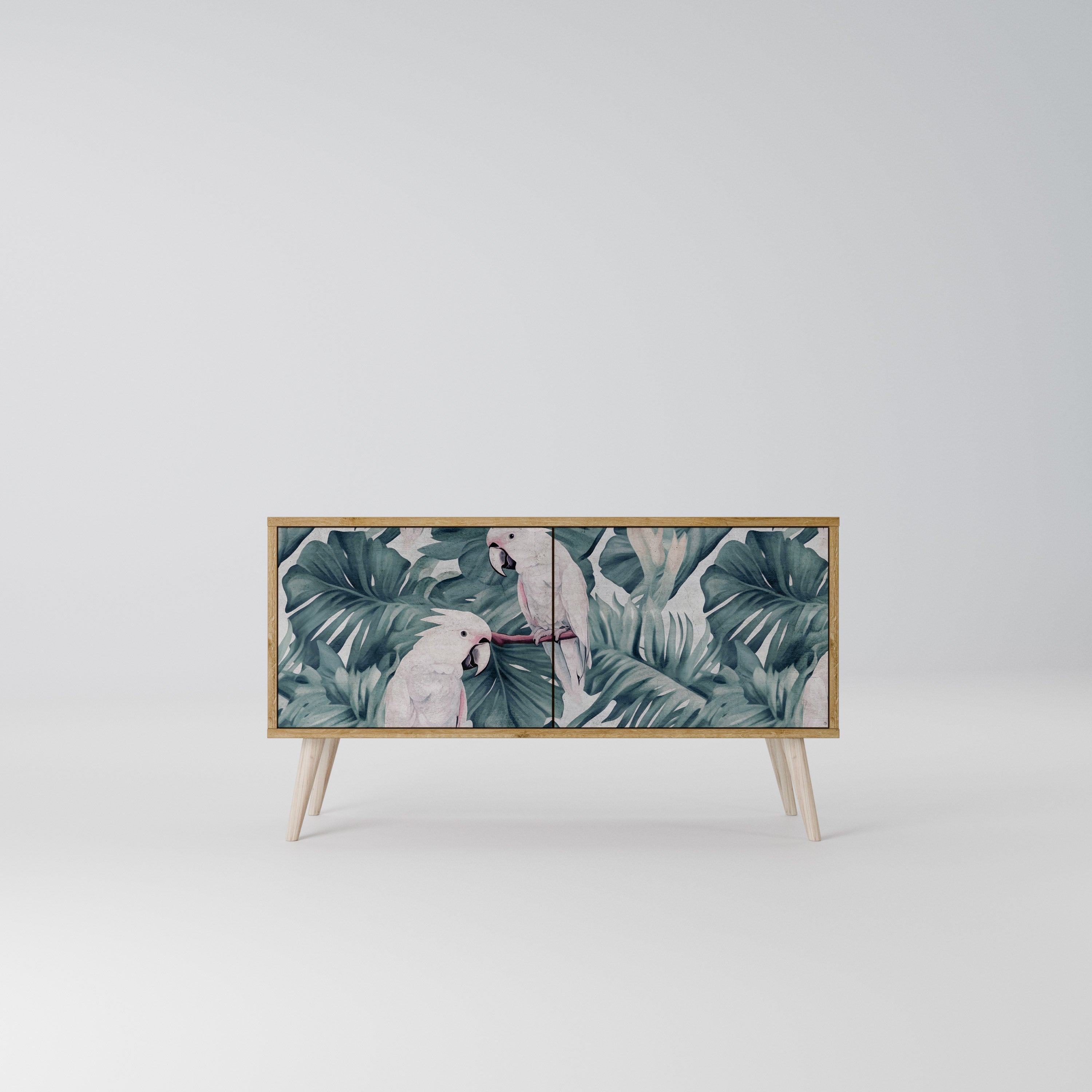 POPINJAY LOOK Kompaktes 2-türiges TV-Lowboard