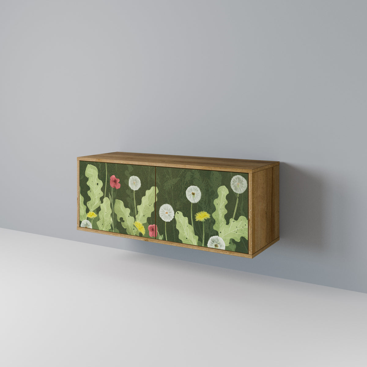DANDELION AMUSE Kompaktes 2-türiges TV-Lowboard