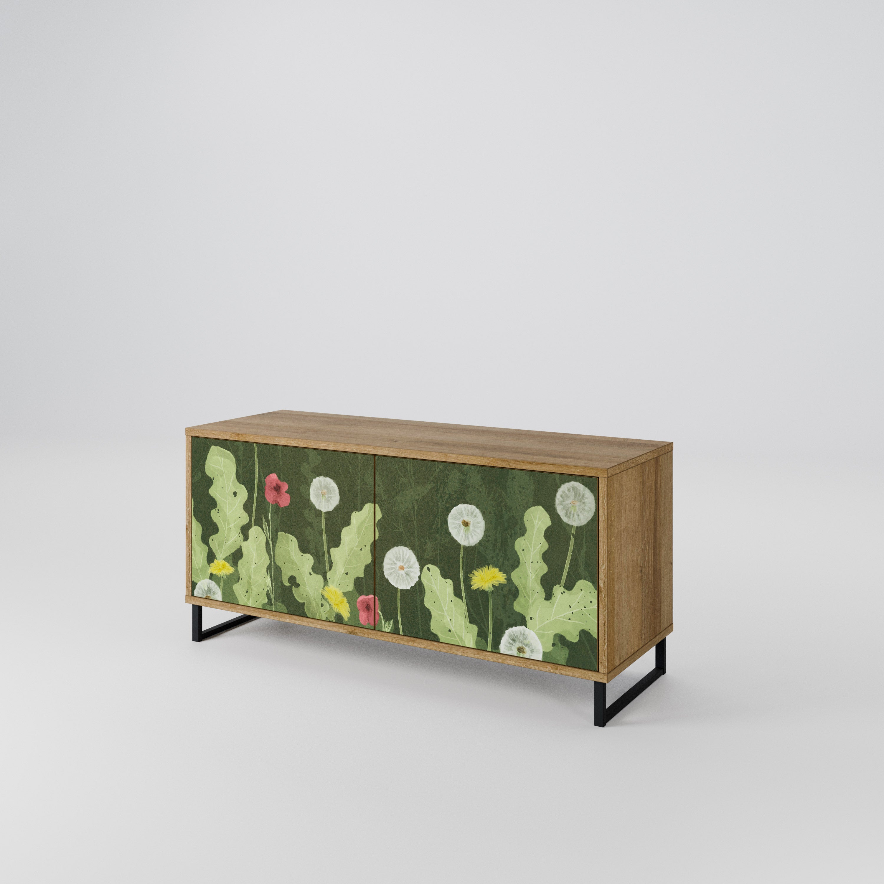 DANDELION AMUSE Compact 2-Door TV Cabinet