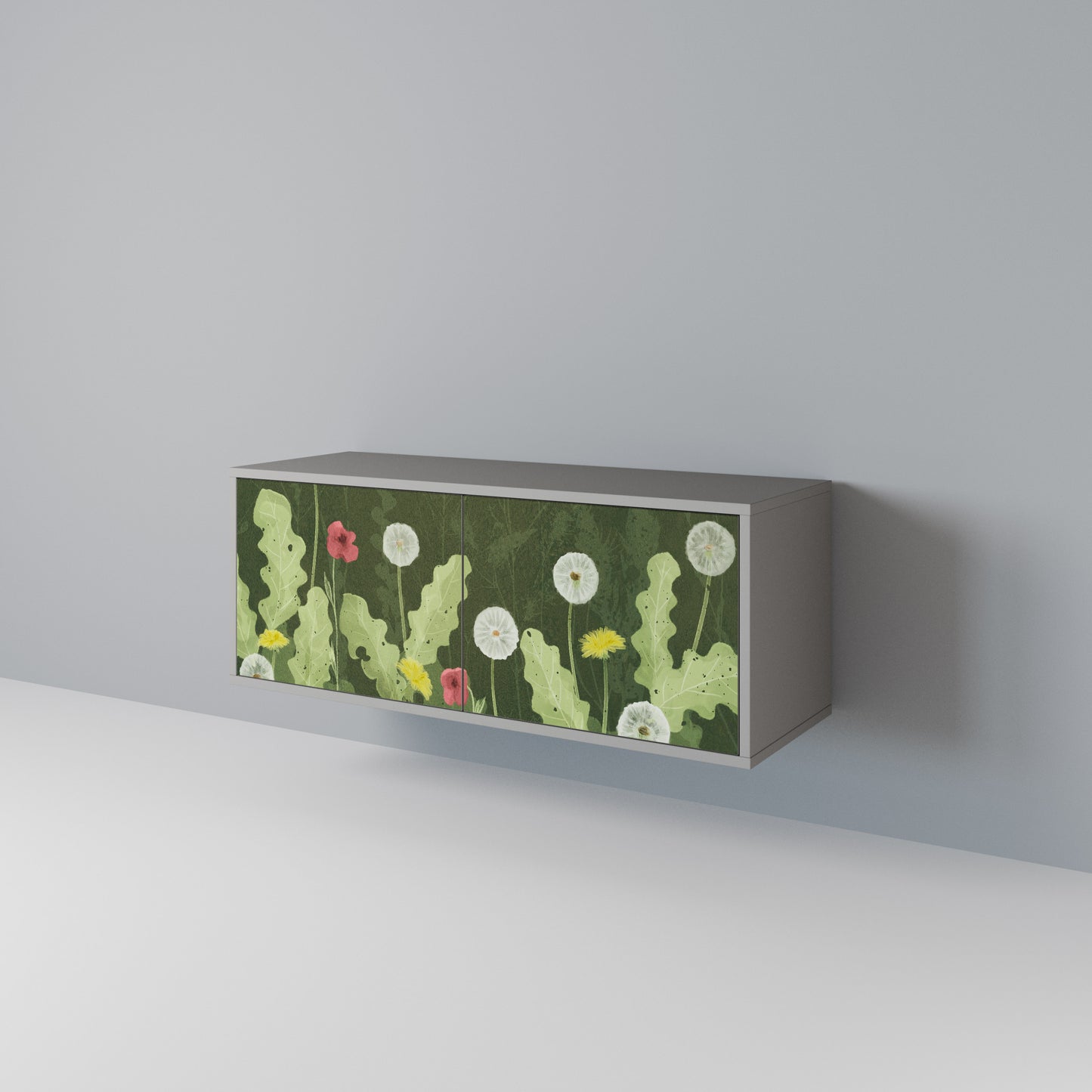 DANDELION AMUSE Kompaktes 2-türiges TV-Lowboard
