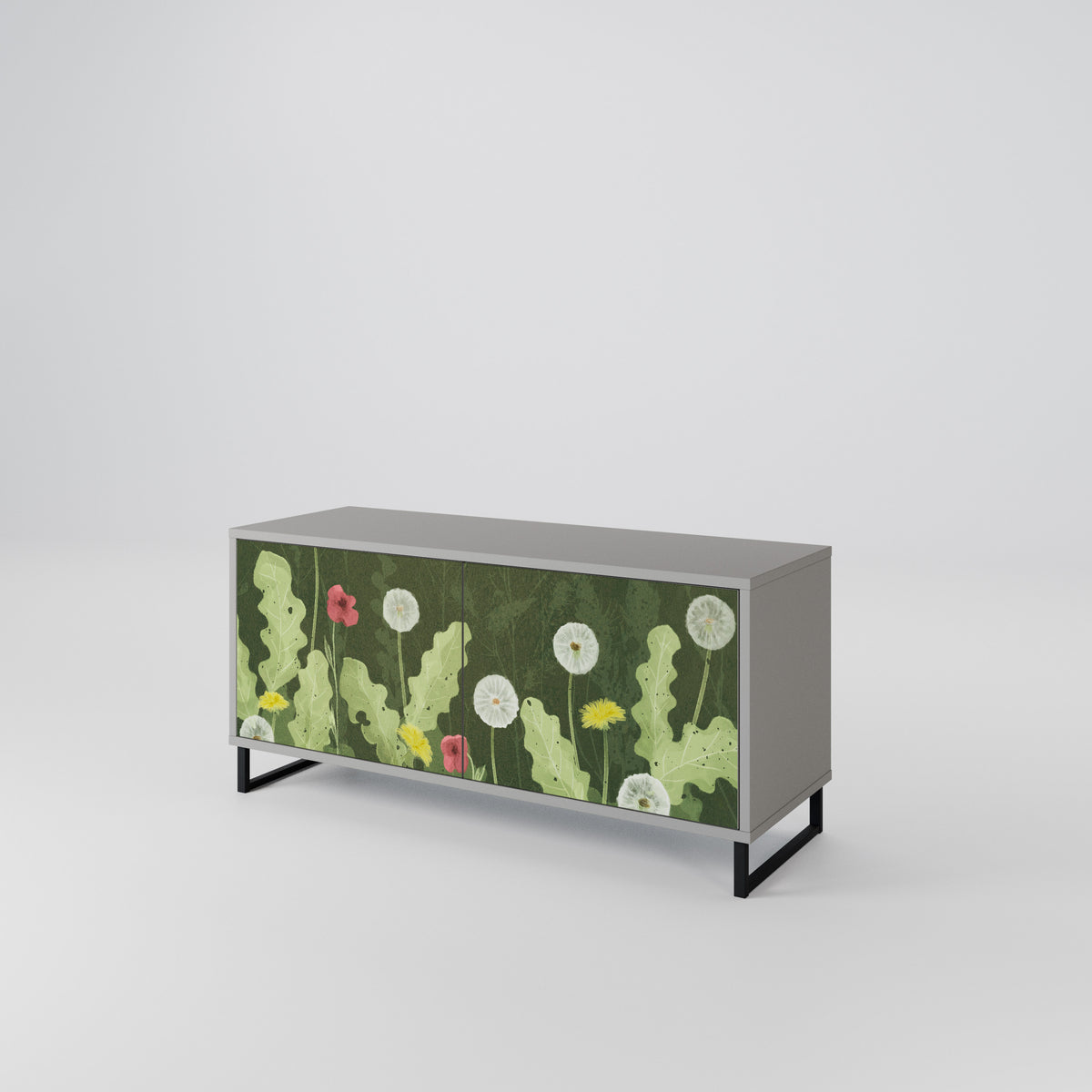 DANDELION AMUSE Kompaktes 2-türiges TV-Lowboard