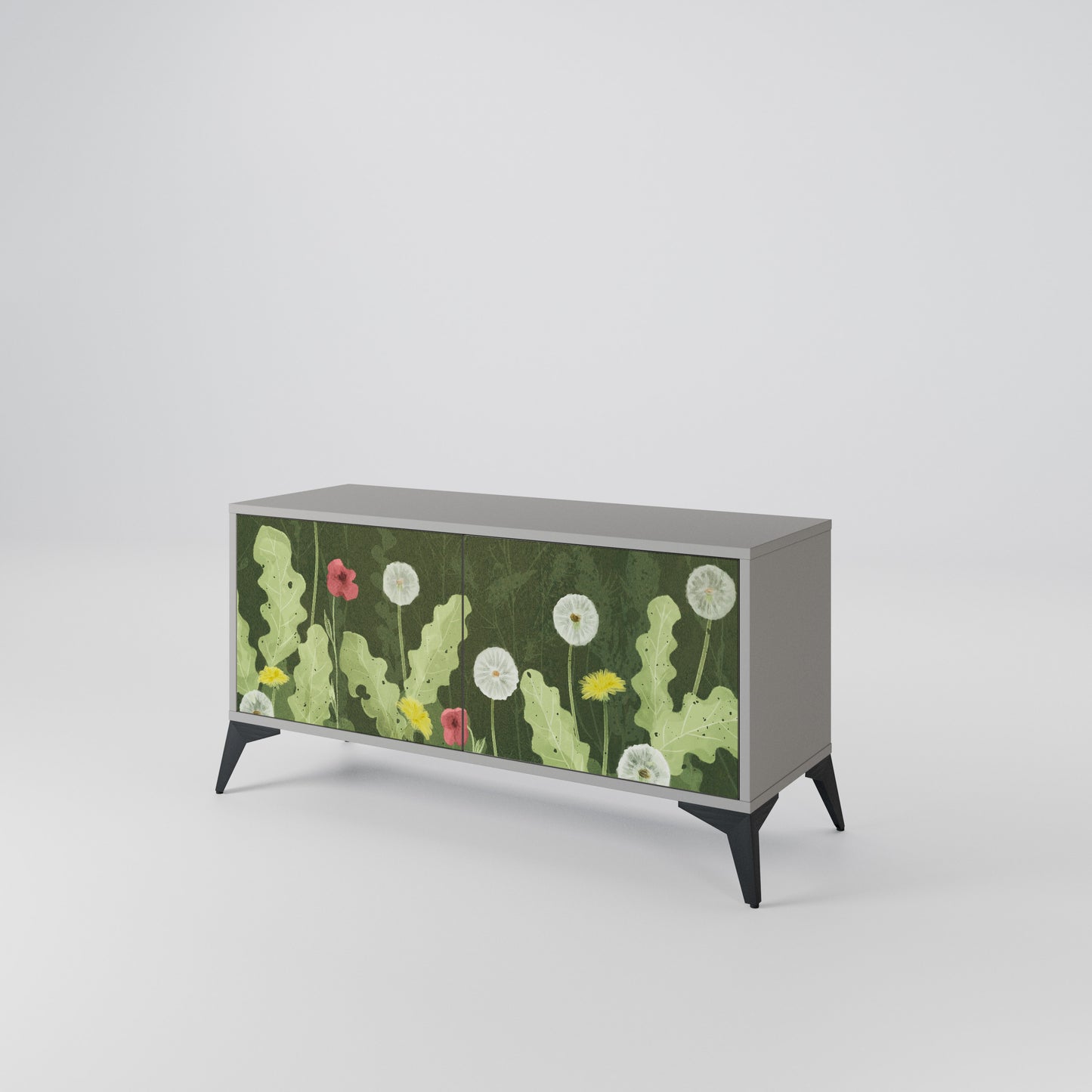 DANDELION AMUSE Kompaktes 2-türiges TV-Lowboard