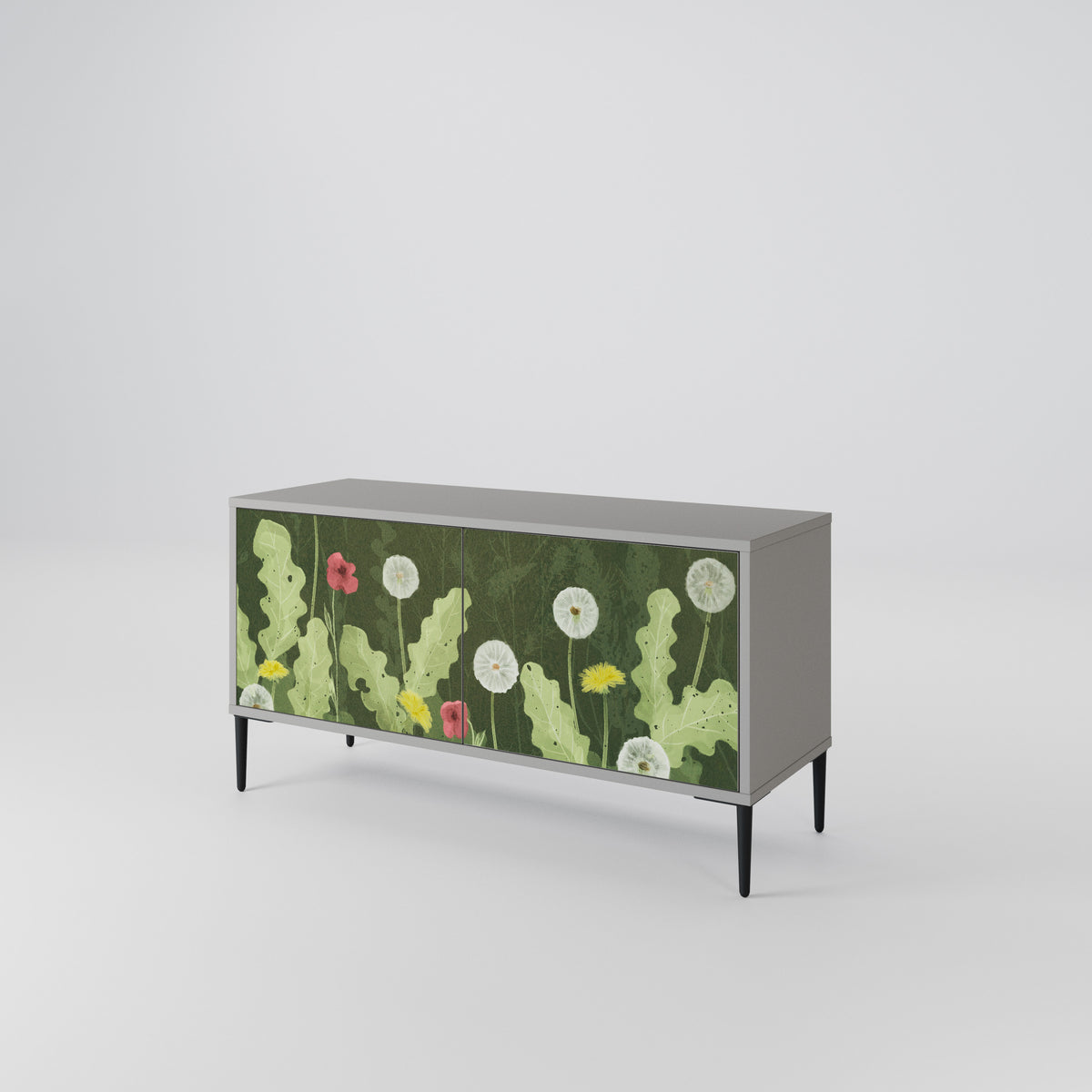 DANDELION AMUSE Kompaktes 2-türiges TV-Lowboard