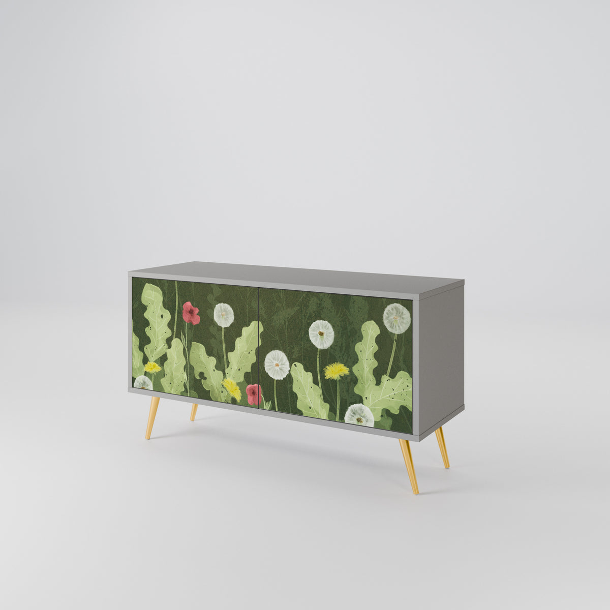 DANDELION AMUSE Kompaktes 2-türiges TV-Lowboard