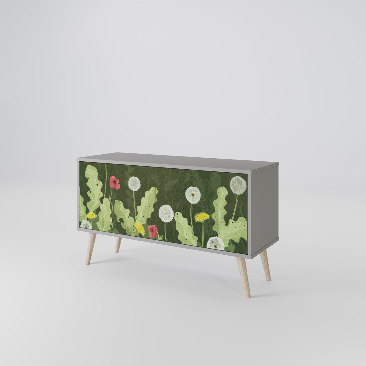 DANDELION AMUSE Kompaktes 2-türiges TV-Lowboard