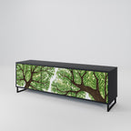 WILDERNESS DASH TV-Lowboard mit 3 Türen in Schwarz