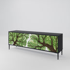 WILDERNESS DASH TV-Lowboard mit 3 Türen in Schwarz