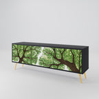 WILDERNESS DASH TV-Lowboard mit 3 Türen in Schwarz