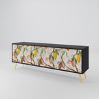 COCOA FRUITS TV-Lowboard mit 3 Türen in Schwarz