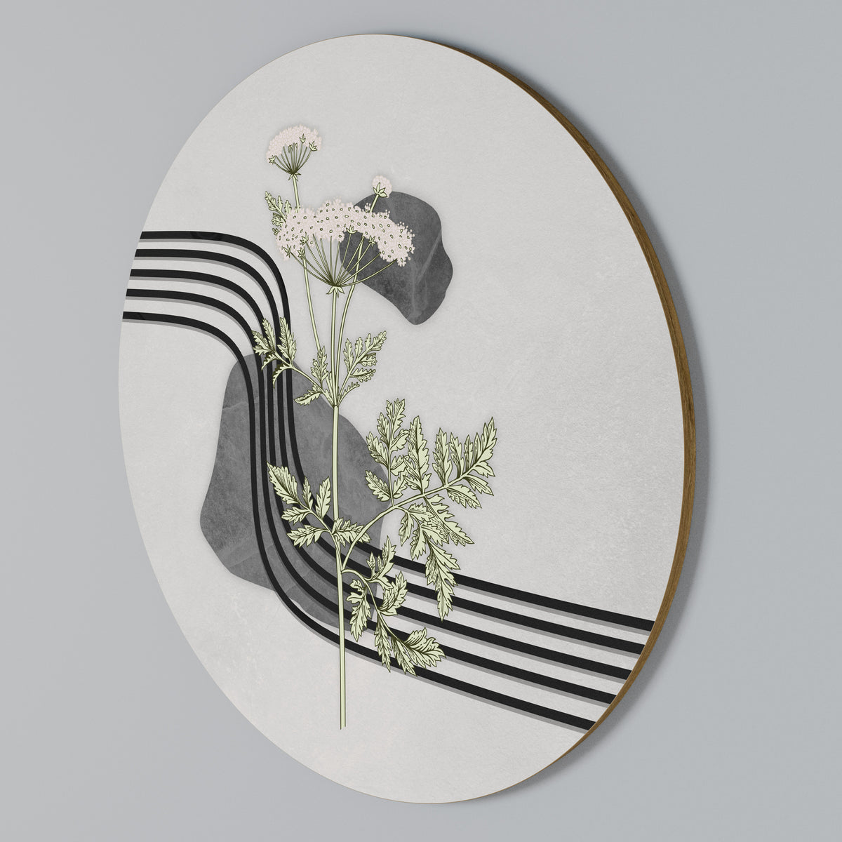 HERACLEUM ARRAY Rundes Wandbild