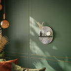 WHITE WHISPER Oval Art Shelf In Black Finish