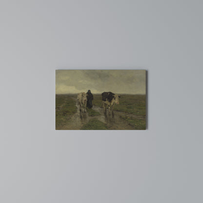 RAINY REFLECTIONS Horizontal Canvas Print