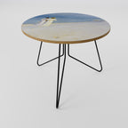 SUMMER EVENING ON SKAGEN'S BEACH Coffee Table