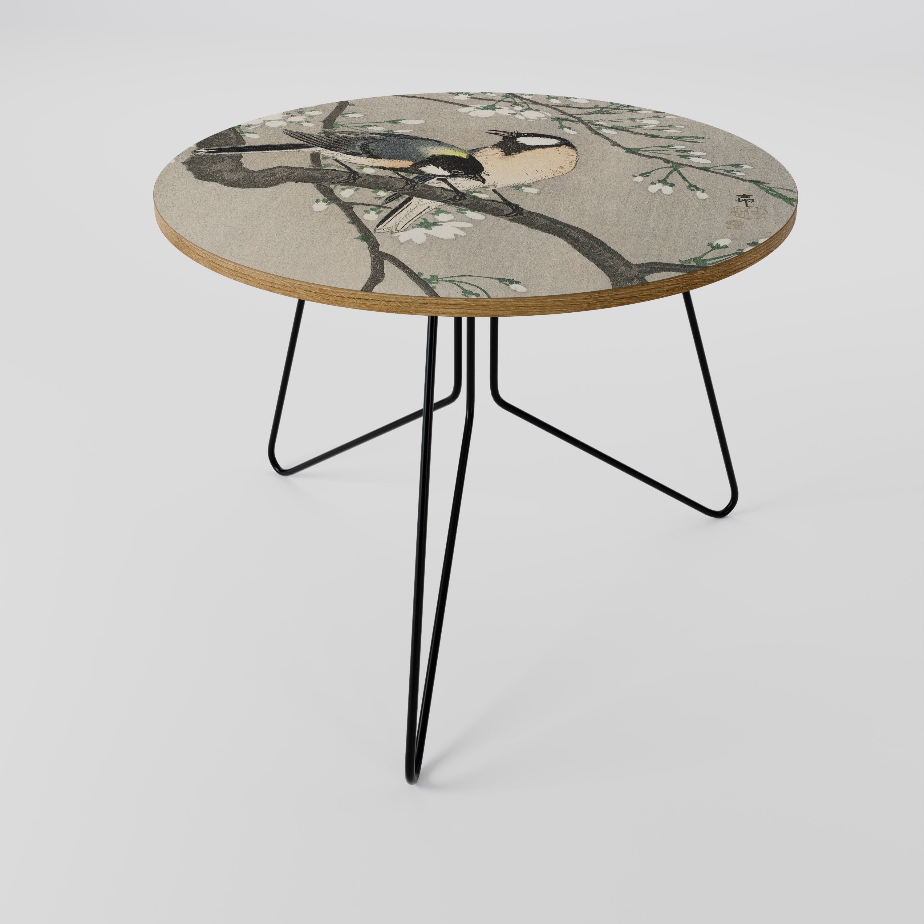 TITS ON CHERRY BRANCH Coffee Table