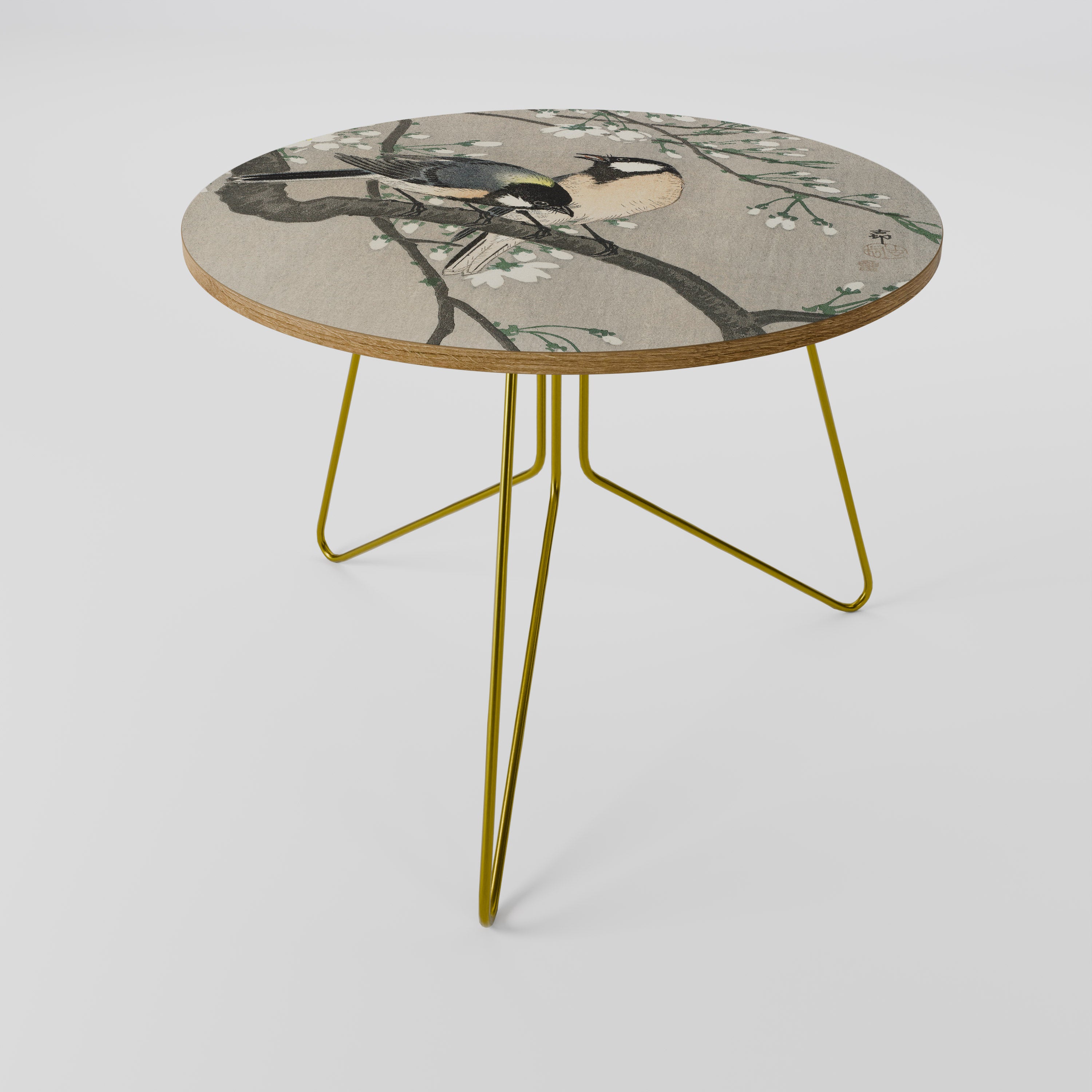 TITS ON CHERRY BRANCH Coffee Table