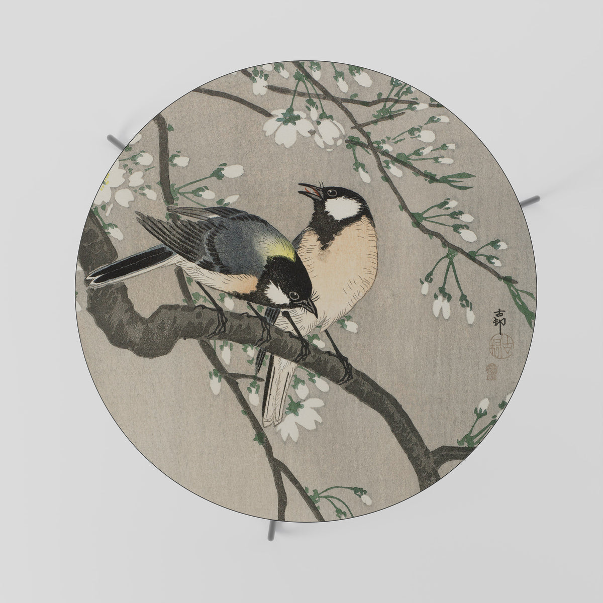 TITS ON CHERRY BRANCH Couchtisch