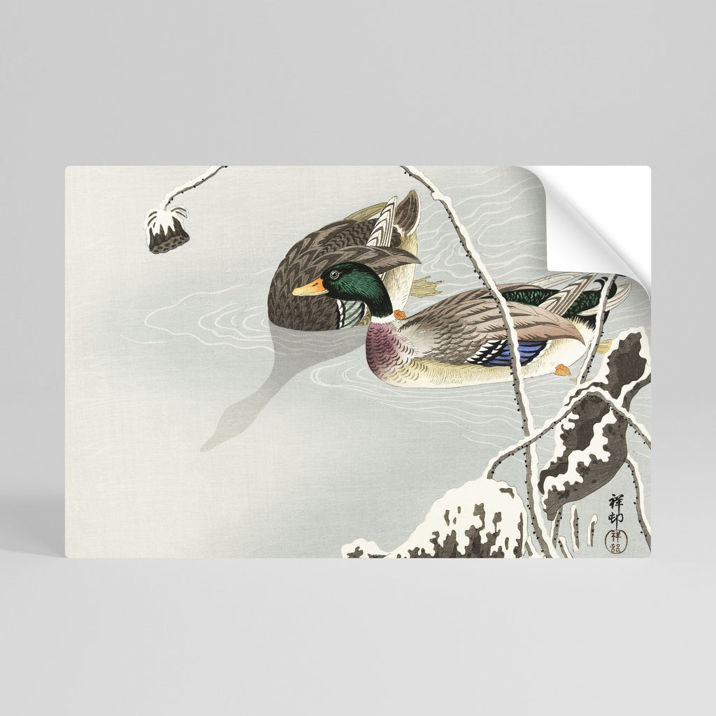 DANCE OF DUCKS Selbstklebendes Horizontal-Poster