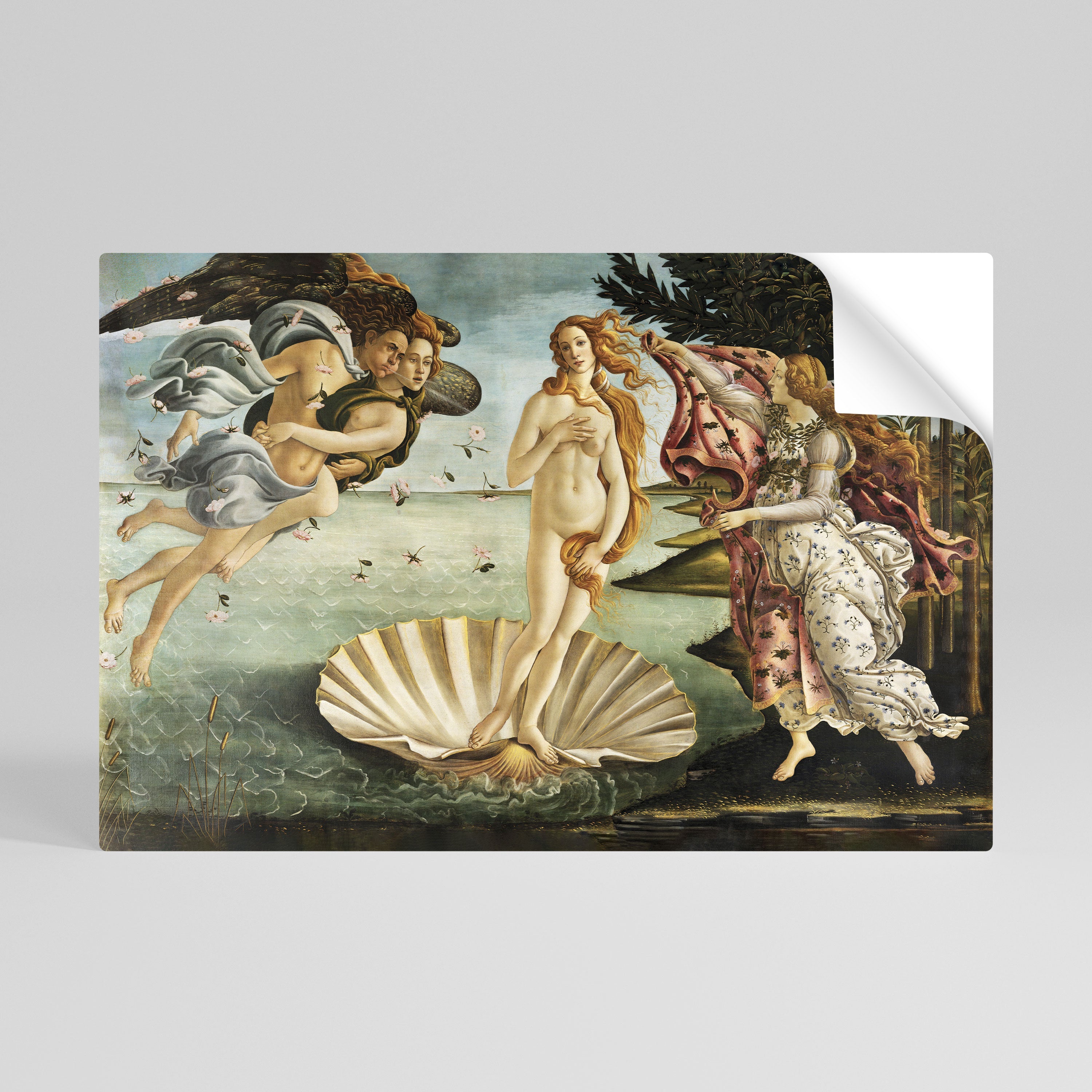 DIVINE BIRTH OF BEAUTY Selbstklebendes Horizontal-Poster