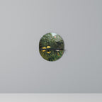 VIRGIN FOREST WITH SUNSET Oval Art Shelf In Black Finish