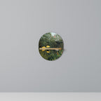 VIRGIN FOREST WITH SUNSET Ovales Kunstregal in Eiche-Optik