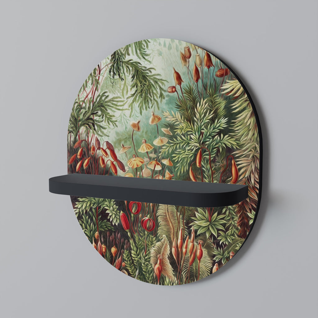 MUSCINAE LAUBMOOSE Ovales Kunstregal in Schwarz