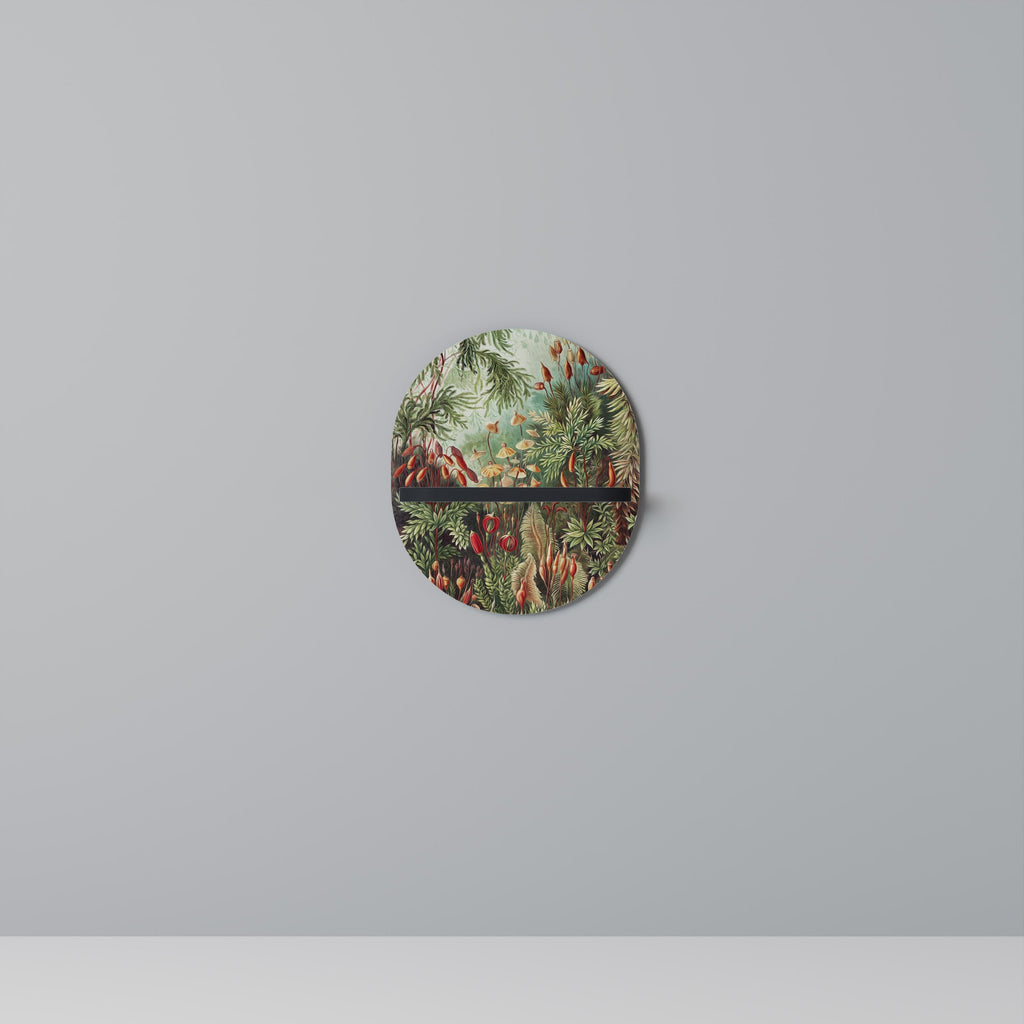 MUSCINAE LAUBMOOSE Ovales Kunstregal in Schwarz