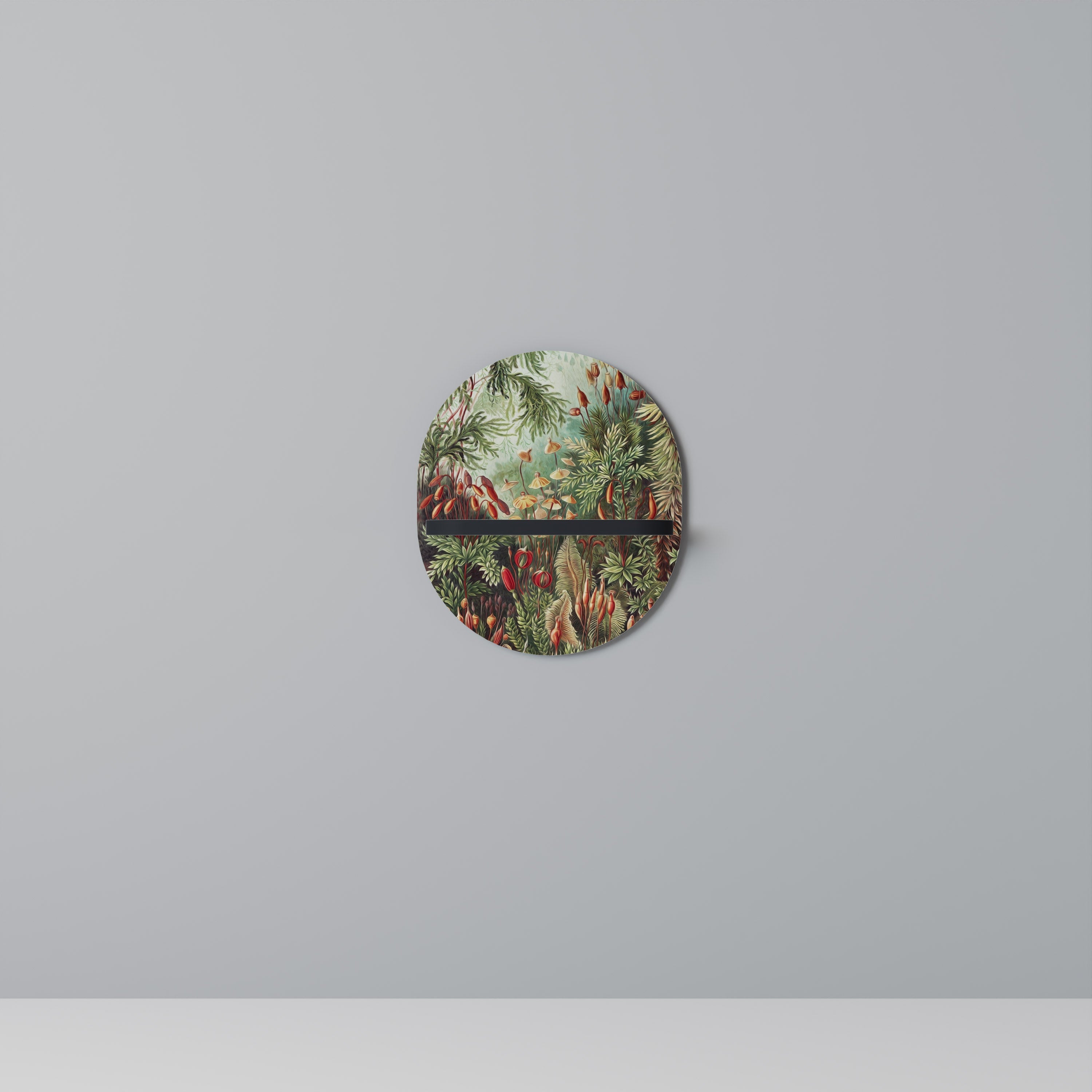 MUSCINAE LAUBMOOSE Ovales Kunstregal in Schwarz