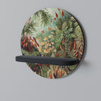 MUSCINAE LAUBMOOSE Rundes Kunstregal in Schwarz