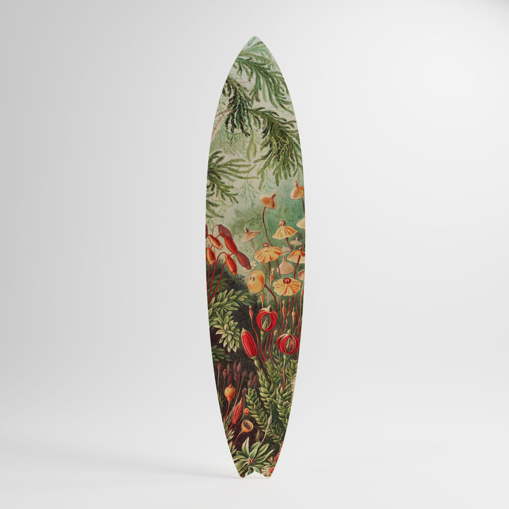 MUSCINAE LAUBMOOSE Deko-Surfboard