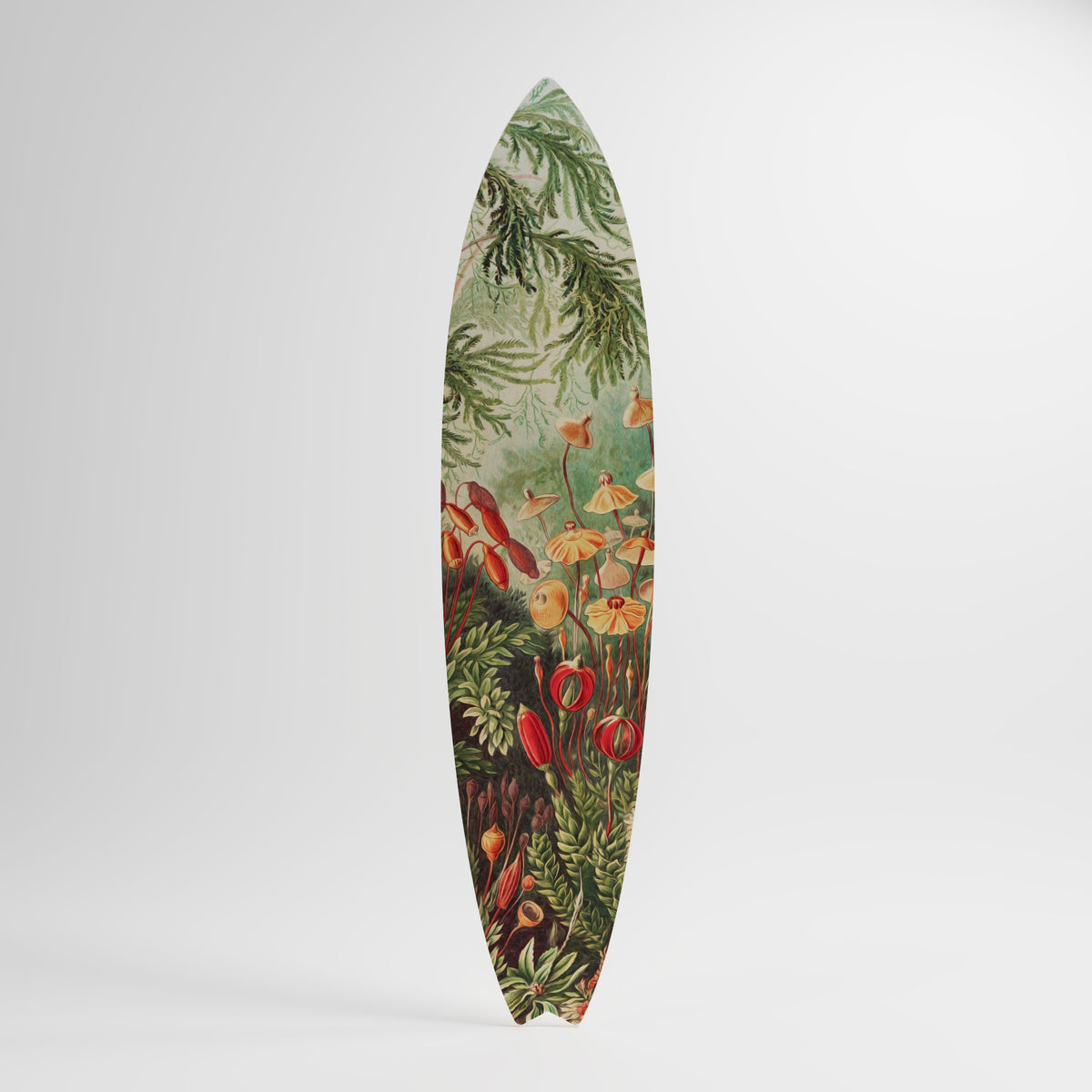 MUSCINAE LAUBMOOSE Deko-Surfboard