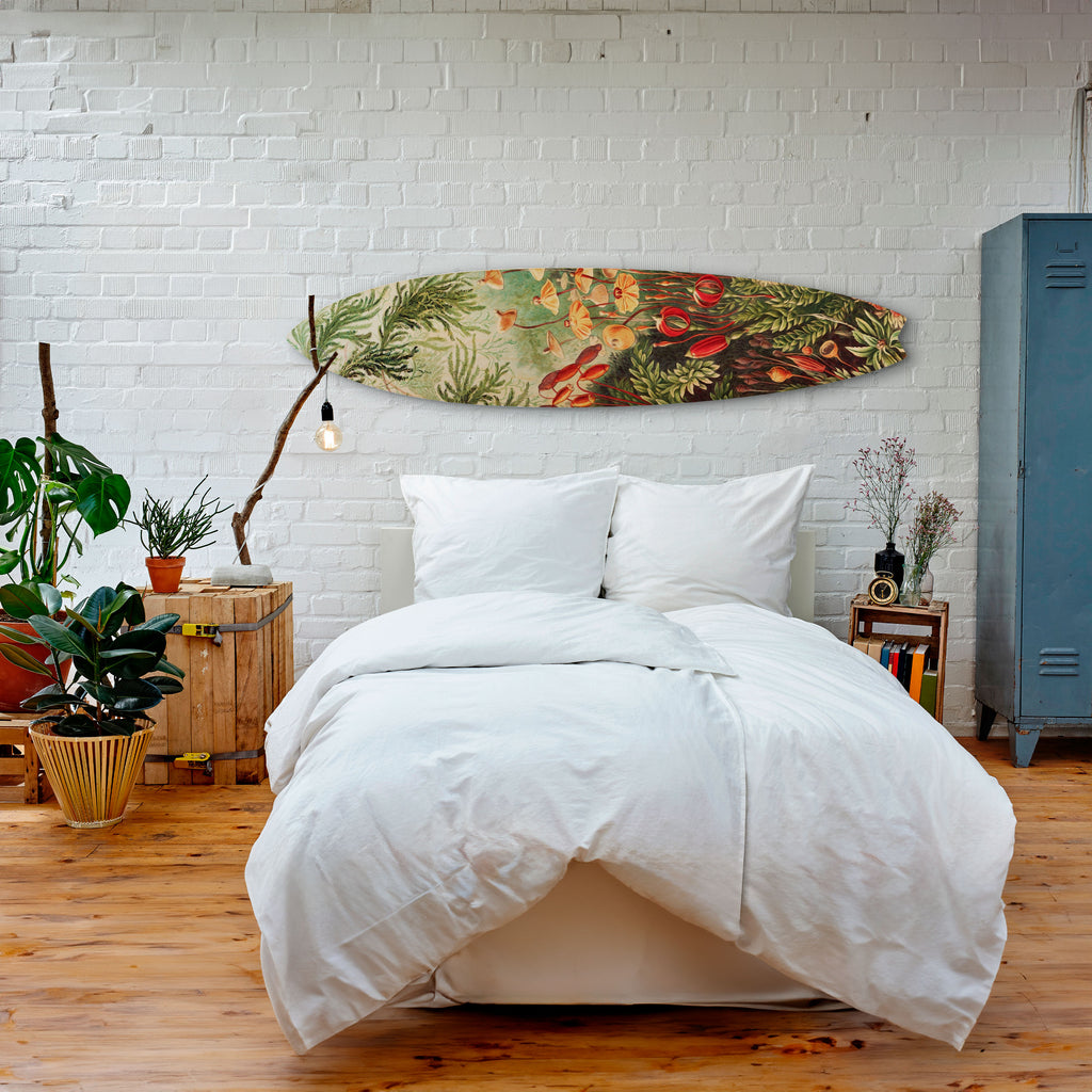 MUSCINAE LAUBMOOSE Deko-Surfboard