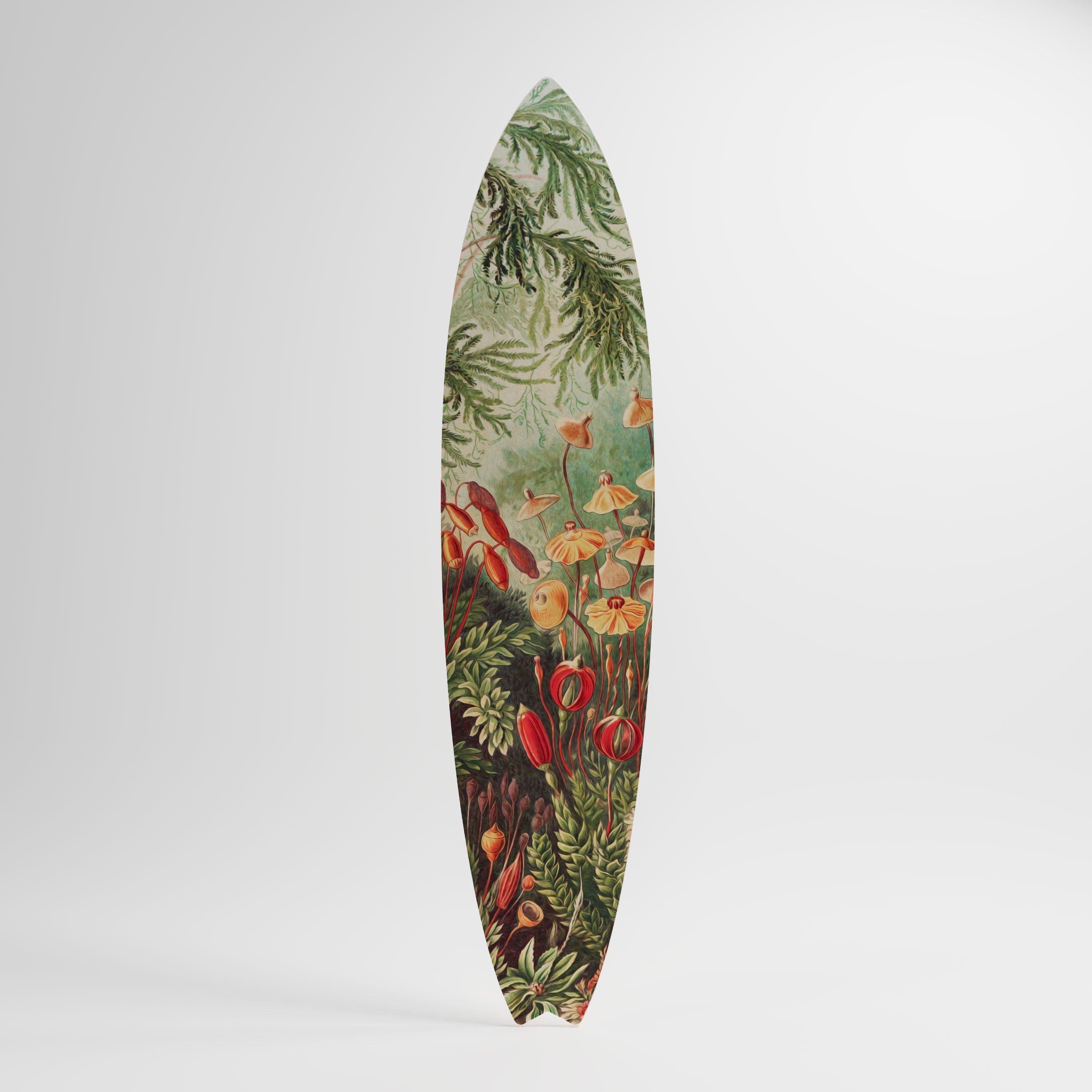 MUSCINAE LAUBMOOSE Deko-Surfboard
