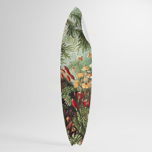 MUSCINAE LAUBMOOSE Surfboard-Wandsticker