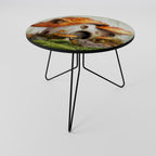MYSTIC TOADSTOOL Couchtisch