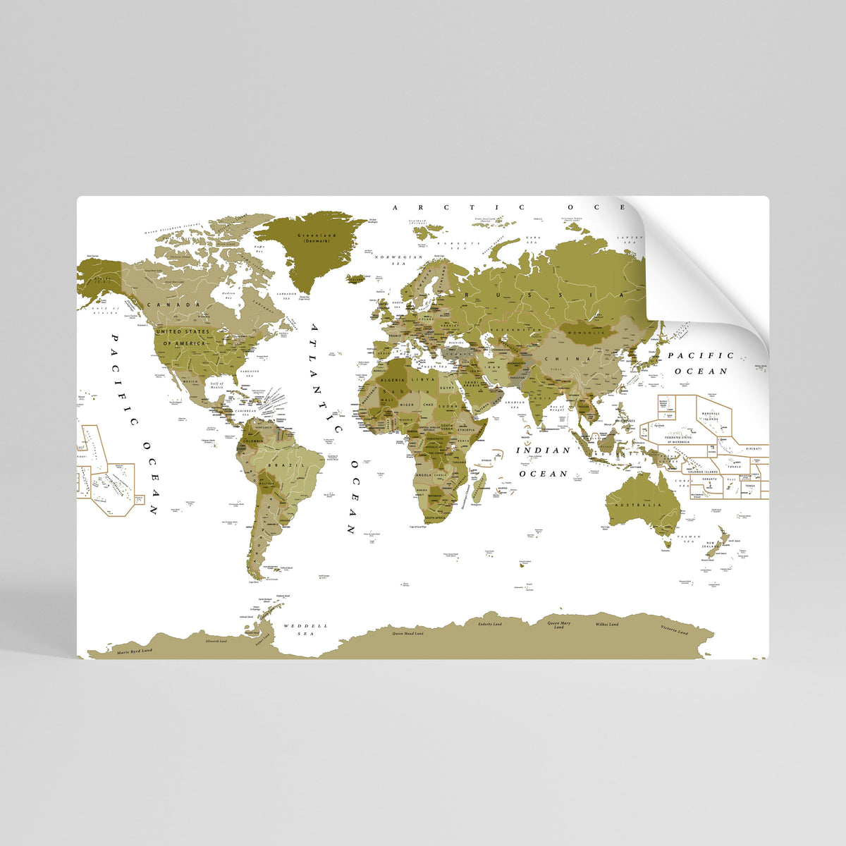 OLIVE EARTH ENCHANTMENT Peel and Stick Horizontal Poster