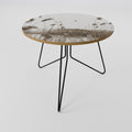 TIMELESS TUSSOCKS Coffee Table 69