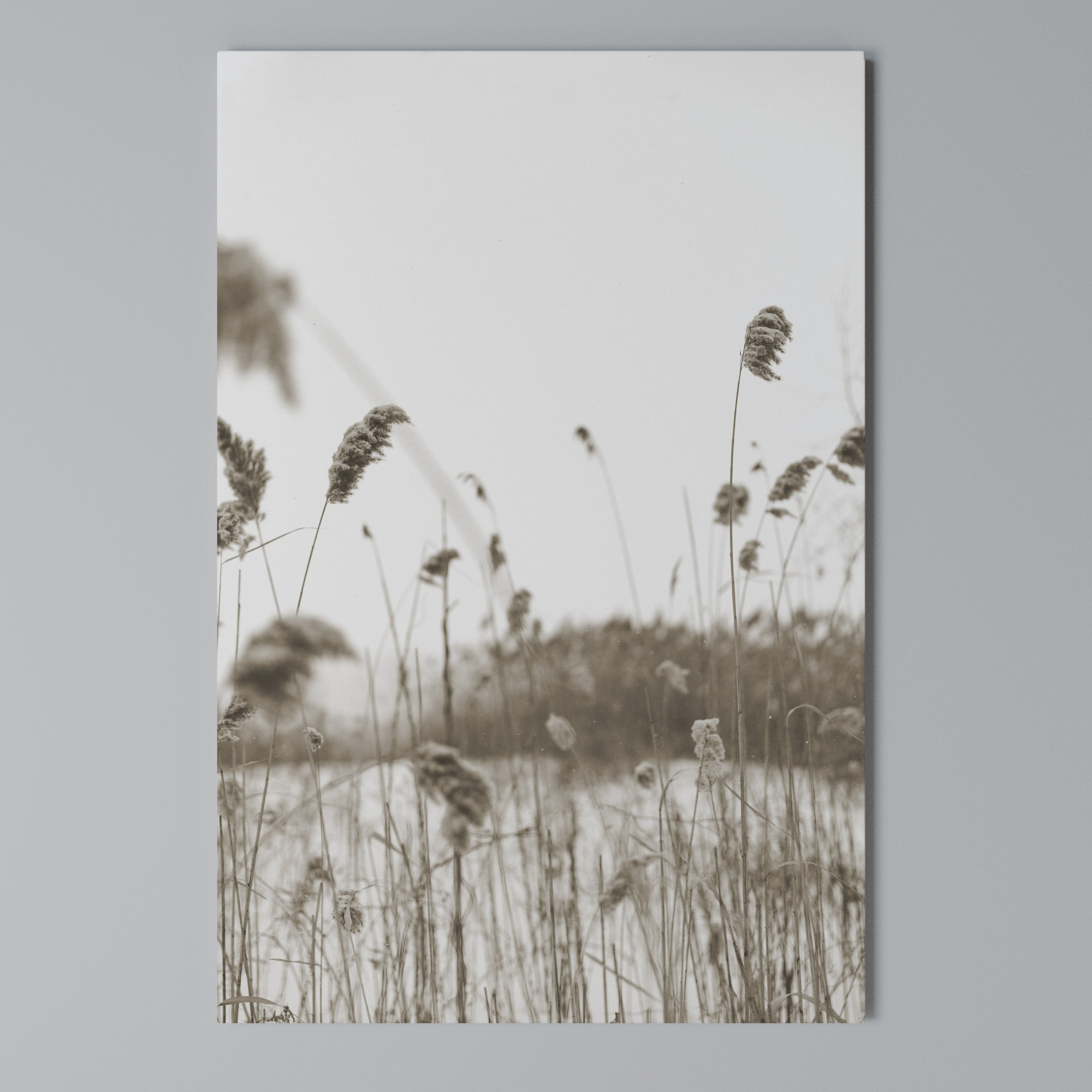 TIMELESS TUSSOCKS Vertical Canvas Print