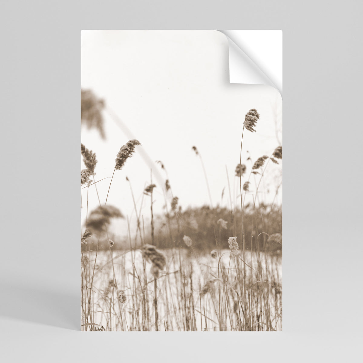 TIMELESS TUSSOCKS Peel and Stick Vertical Poster