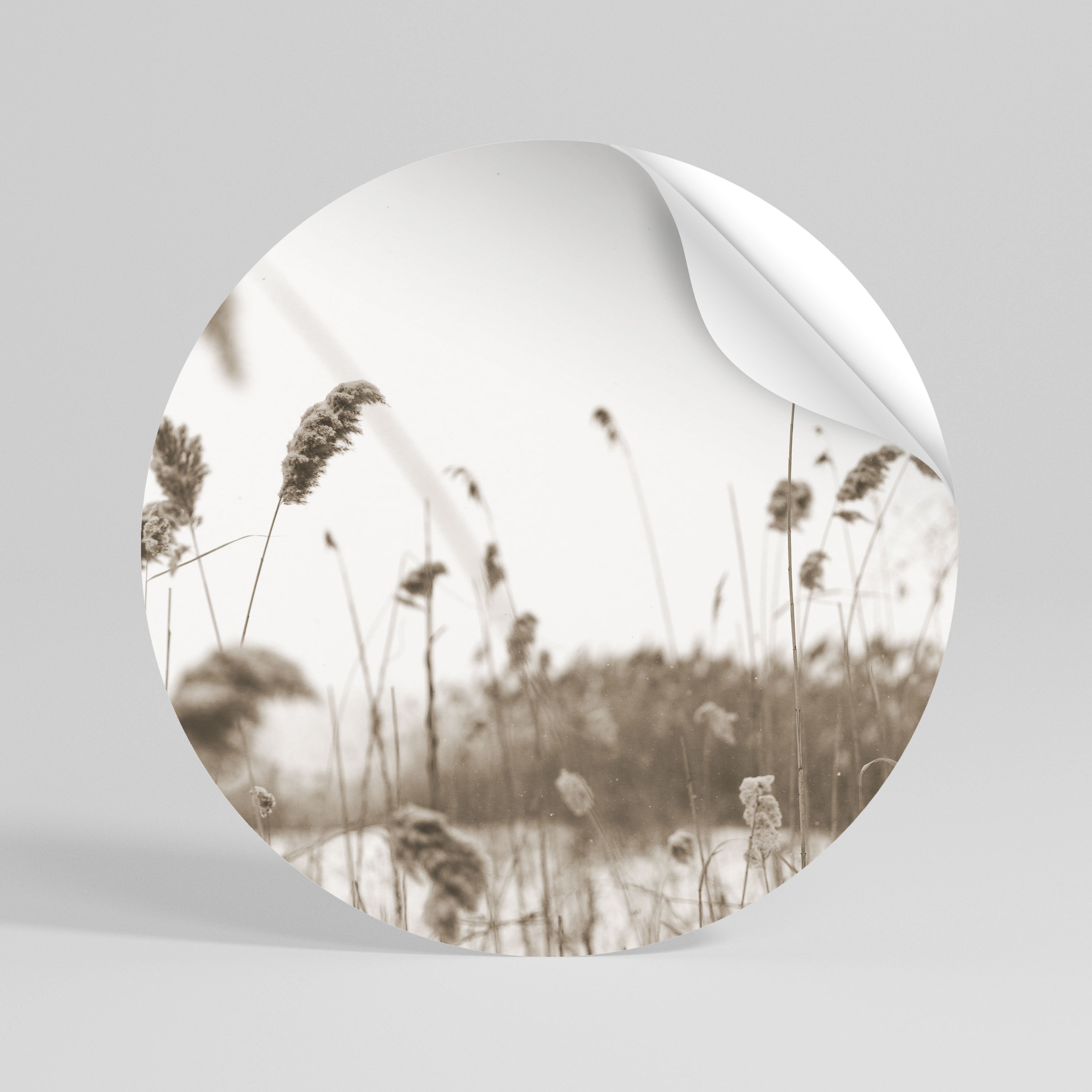 TIMELESS TUSSOCKS Runder Wandsticker zum Abziehen und Aufkleben