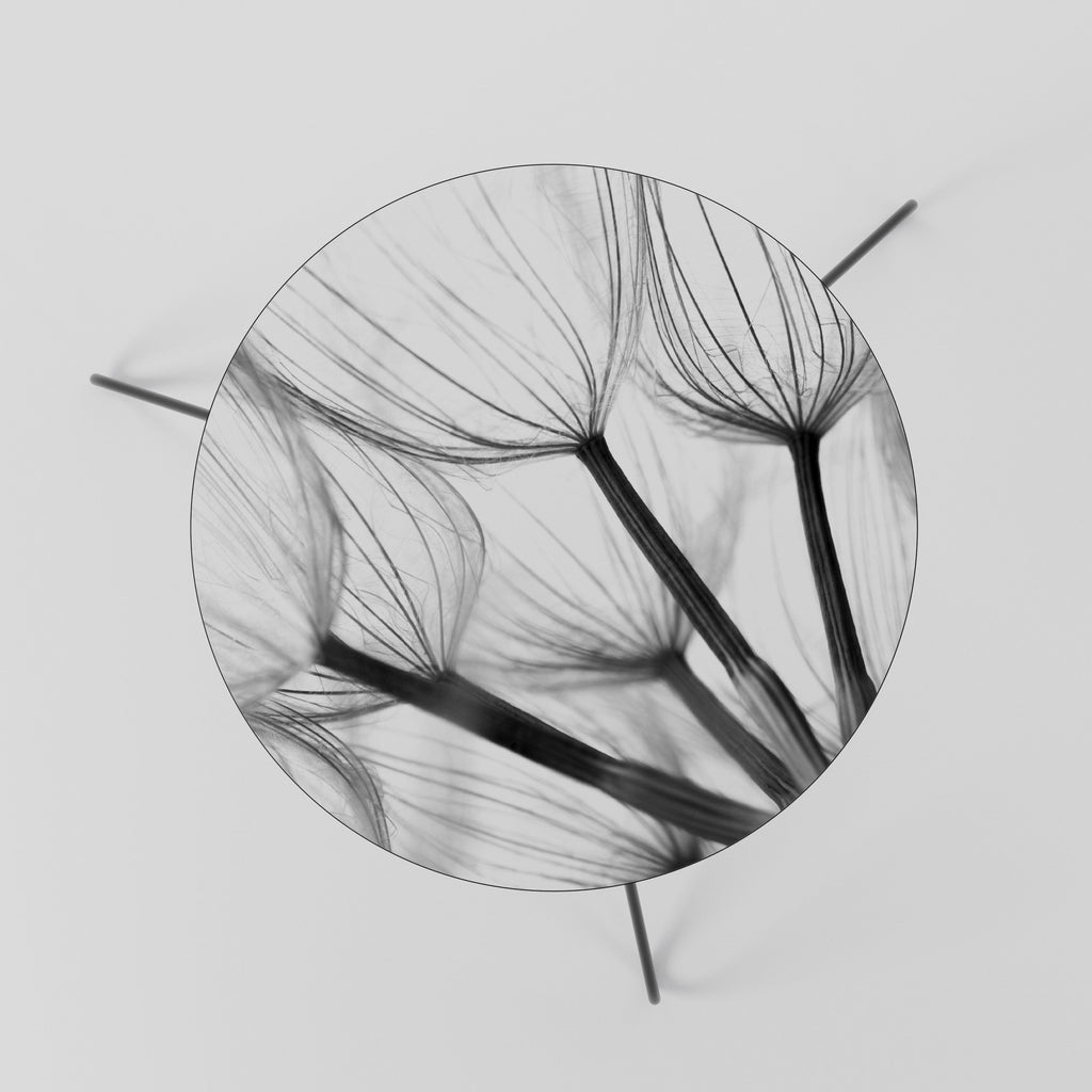 SILKEN FLIGHT Couchtisch 60