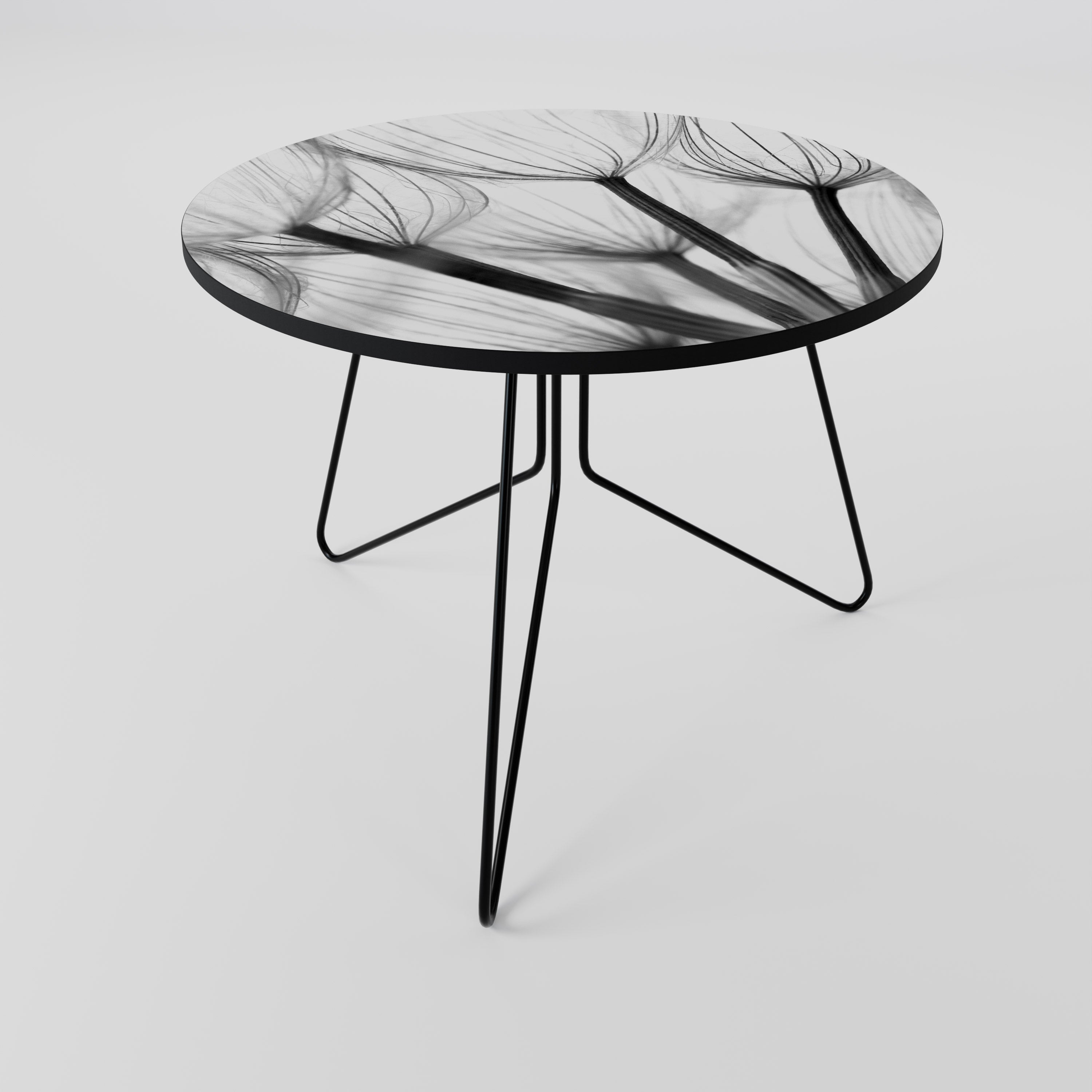 SILKEN FLIGHT Coffee Table