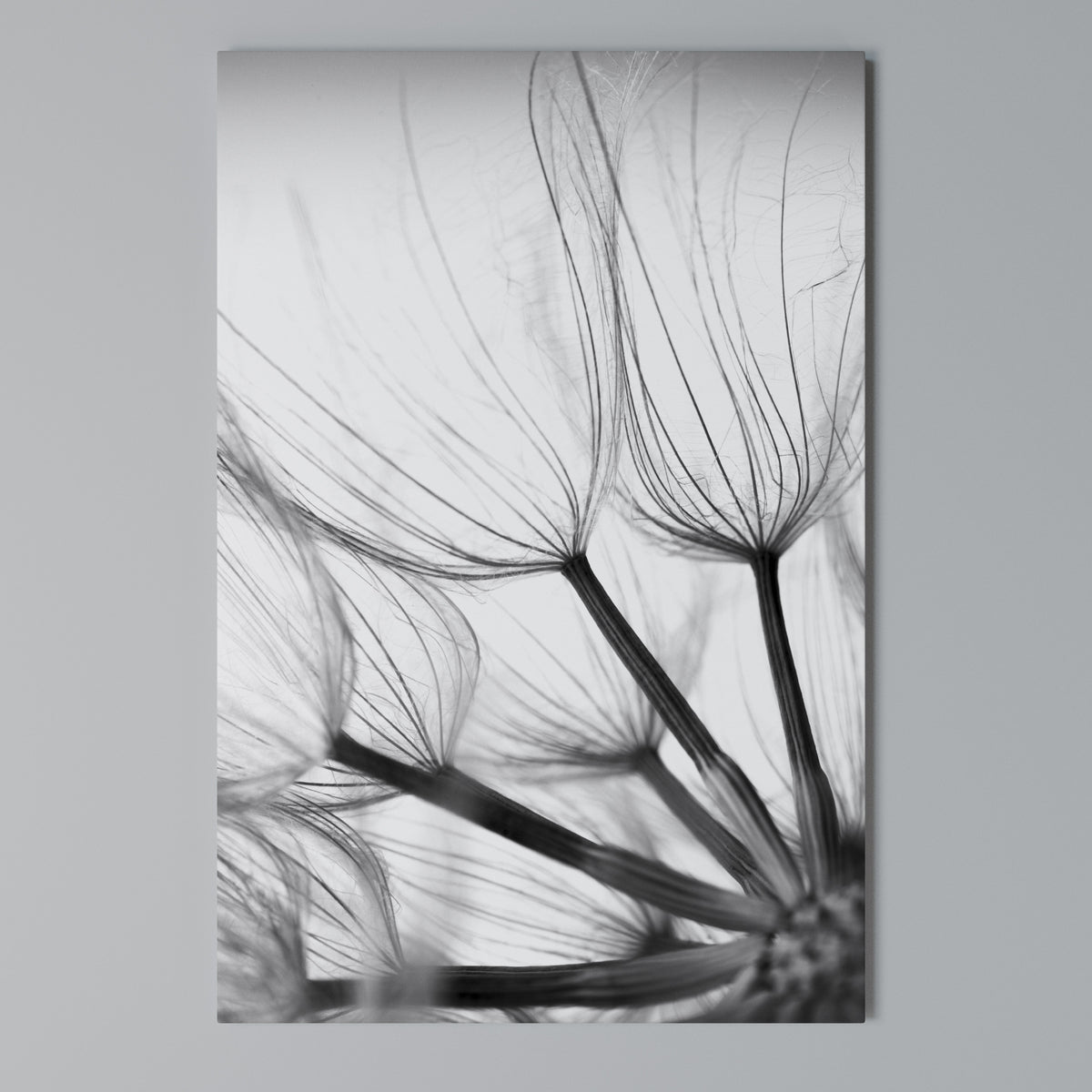 SILKEN FLIGHT Vertical Canvas Print