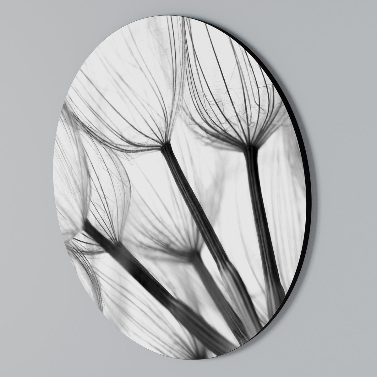 SILKEN FLIGHT Round Wall Art