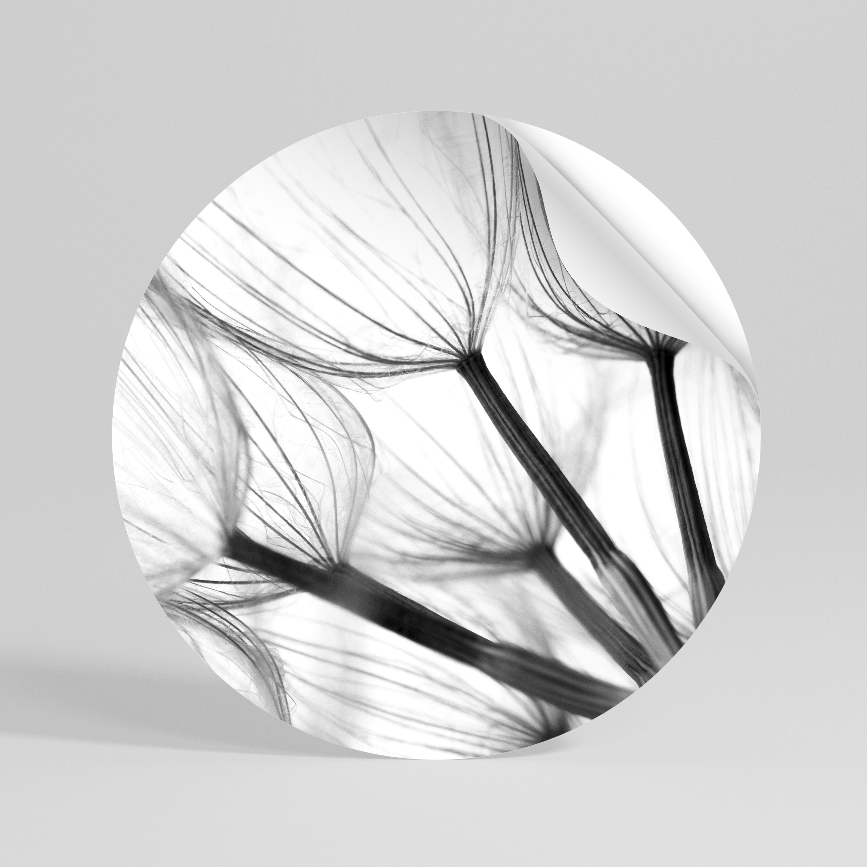 SILKEN FLIGHT Runder Wandsticker zum Abziehen und Aufkleben