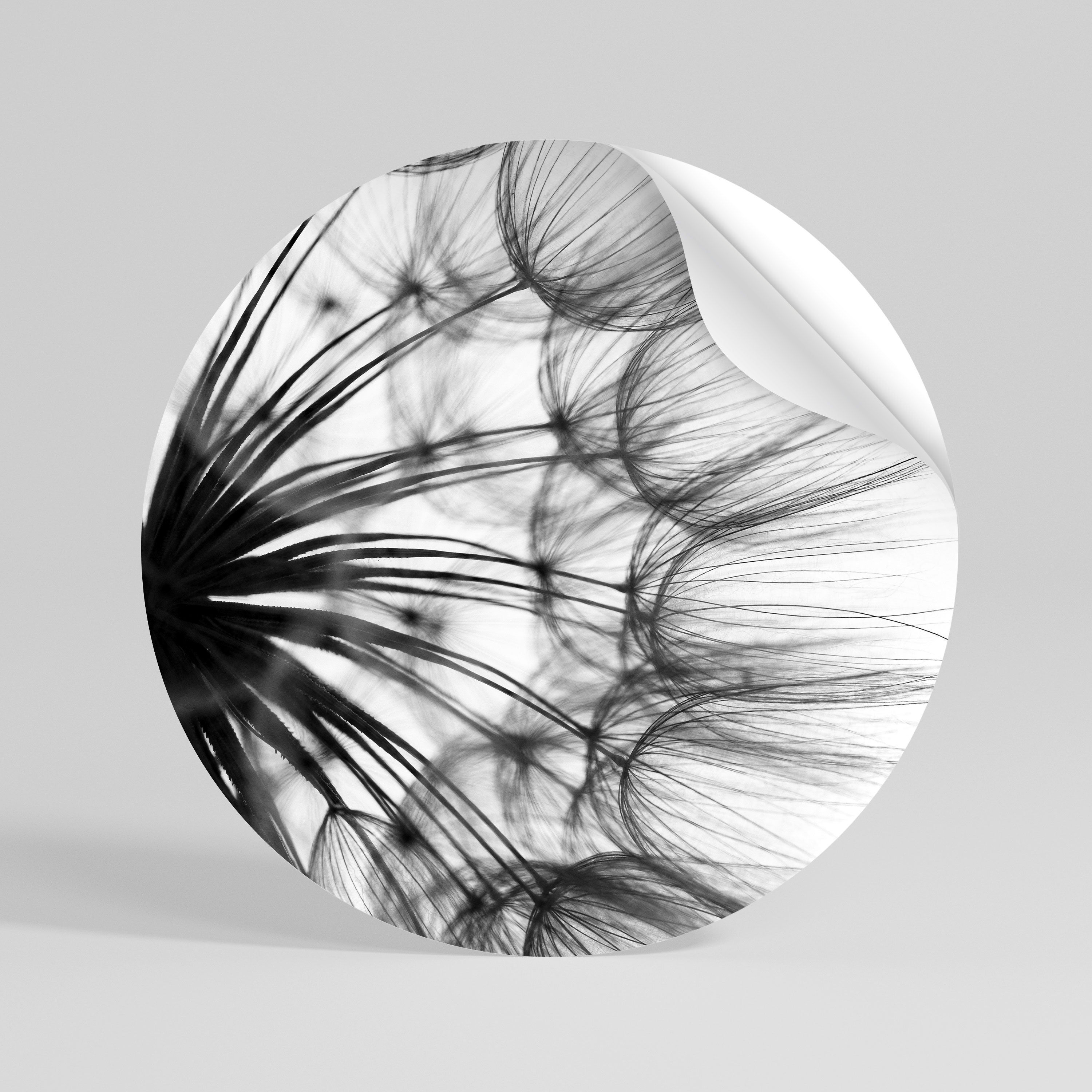 WHISPERING WILDFLOWER Runder Wandsticker zum Abziehen und Aufkleben