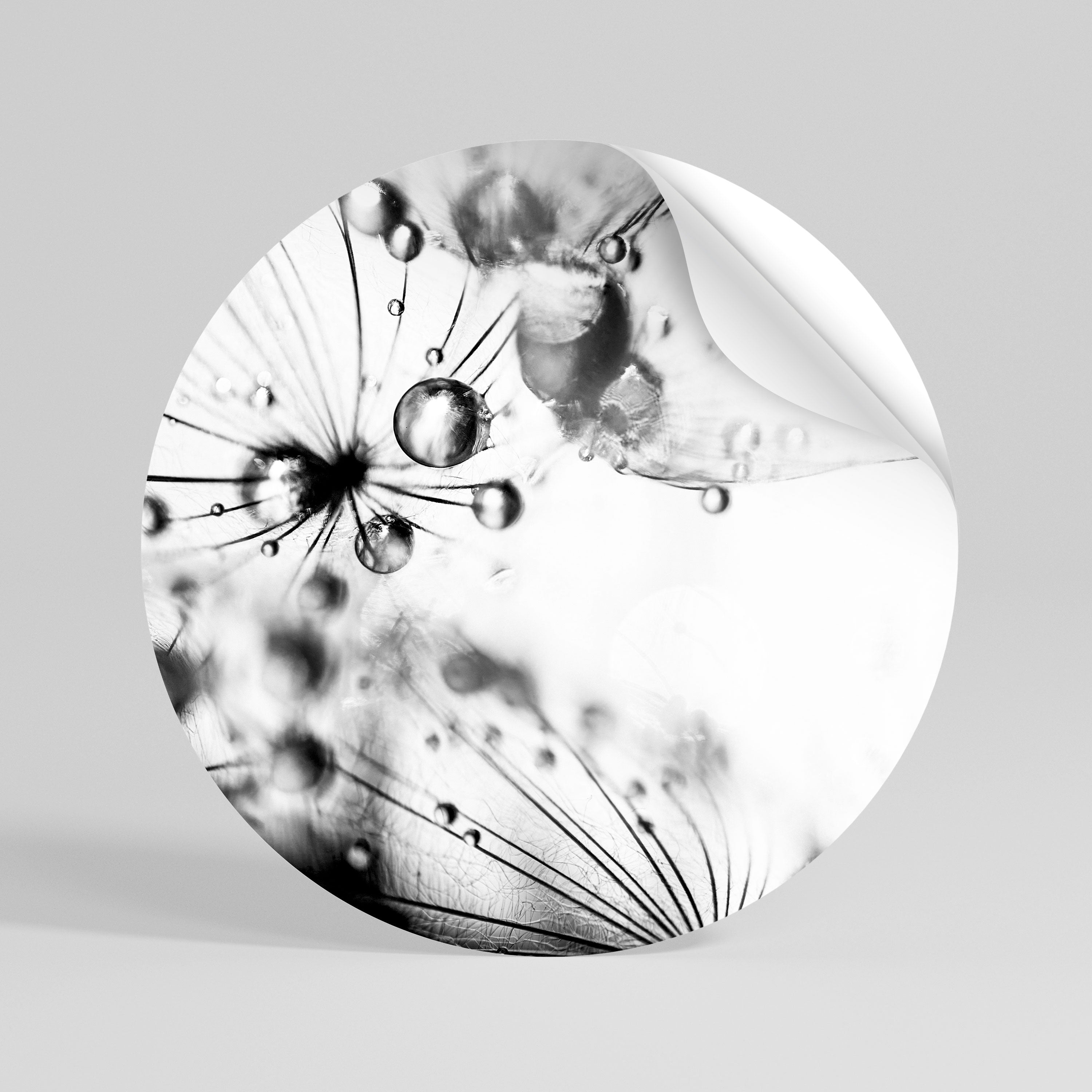 ELEGANT DROPLETS Runder Wandsticker zum Abziehen und Aufkleben