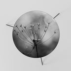 MINIMALIST BLOOM Couchtisch Ø 60 cm