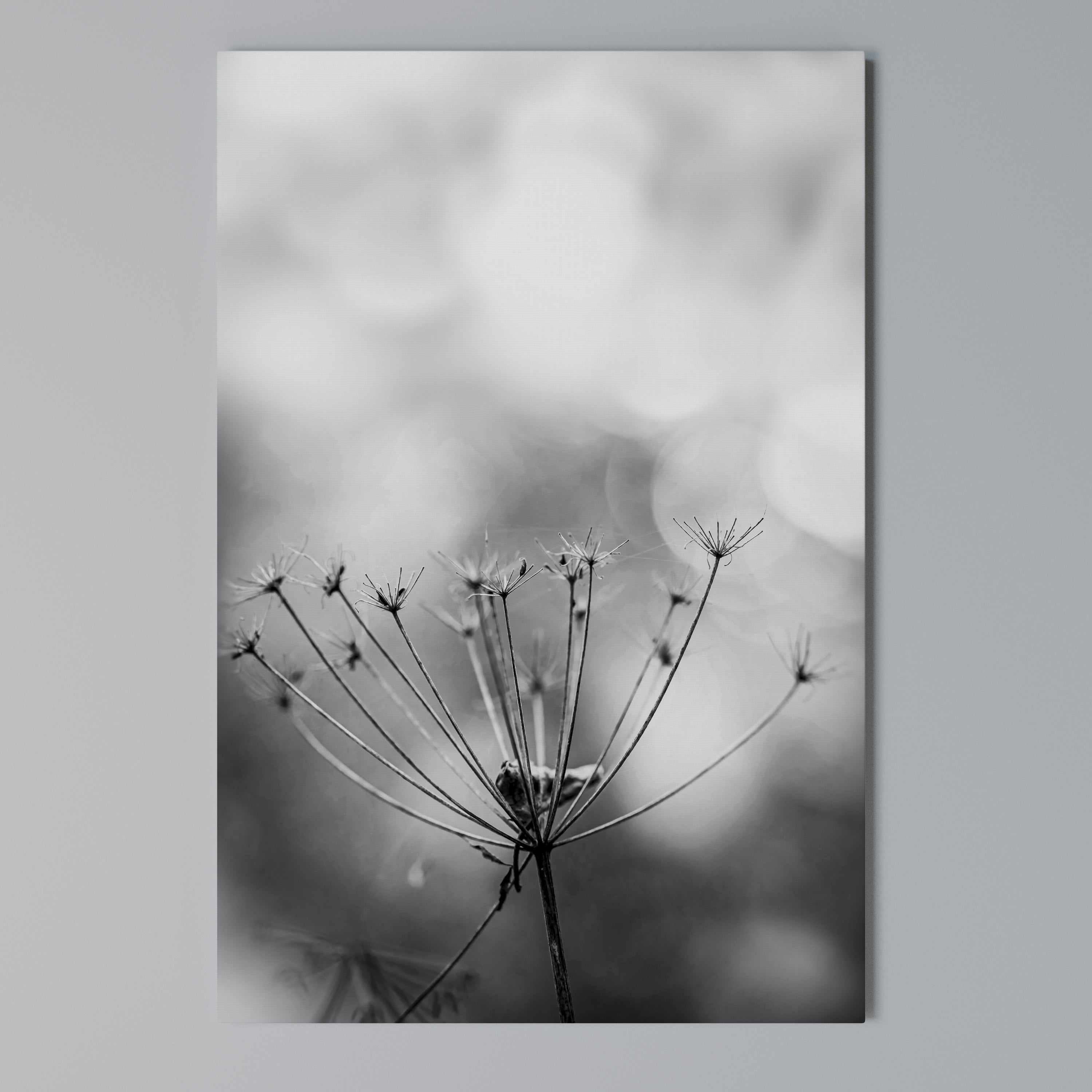 MINIMALIST BLOOM Vertical Canvas Print